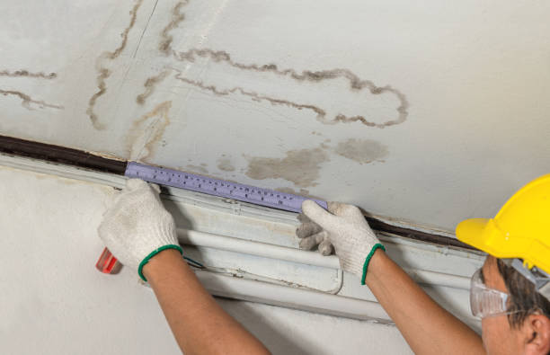 Reliable Sewage Cleanup contractor in Nunn, CO by Water Damage Irwin